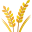 Grains