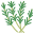 Herbs
