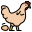 Poultry