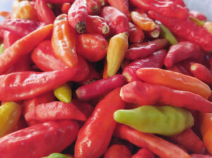 Fresh Red Chili Peppers – Hot, Vibrant & Ready for Bulk Supply