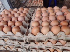 Fresh Farm Eggs – Quality Poultry Table Eggs Available for Bulk and Retail Supply