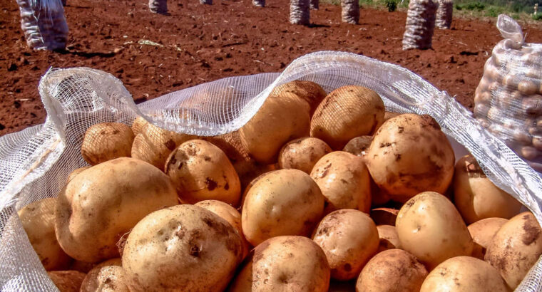 Fresh Irish Potatoes – Farm...