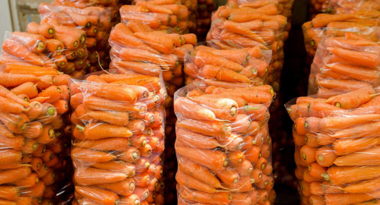 Fresh Farm Carrots – Sweet, Crunchy & Available for Bulk Purchase