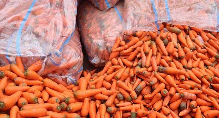 Fresh Farm Carrots – Sweet,...